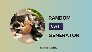 Random Cat Generator