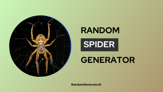 Random Spider Generator