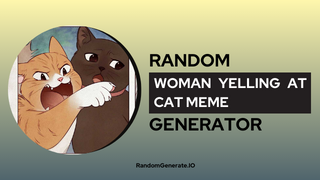 Woman Yelling At Cat Meme Generator